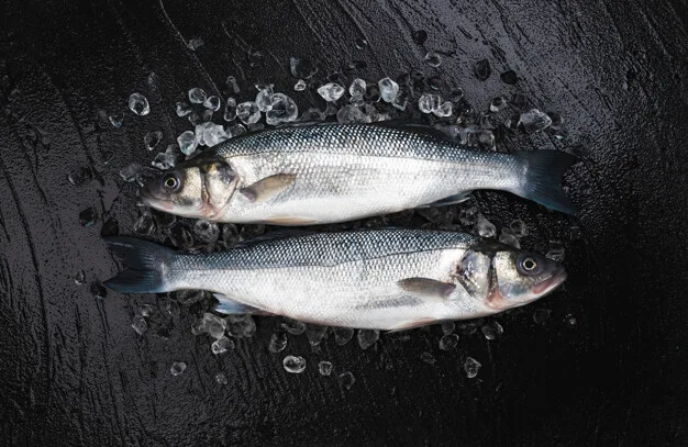Two whole NaturaFish European seabass (robalo) presented on crushed ice over dark slate