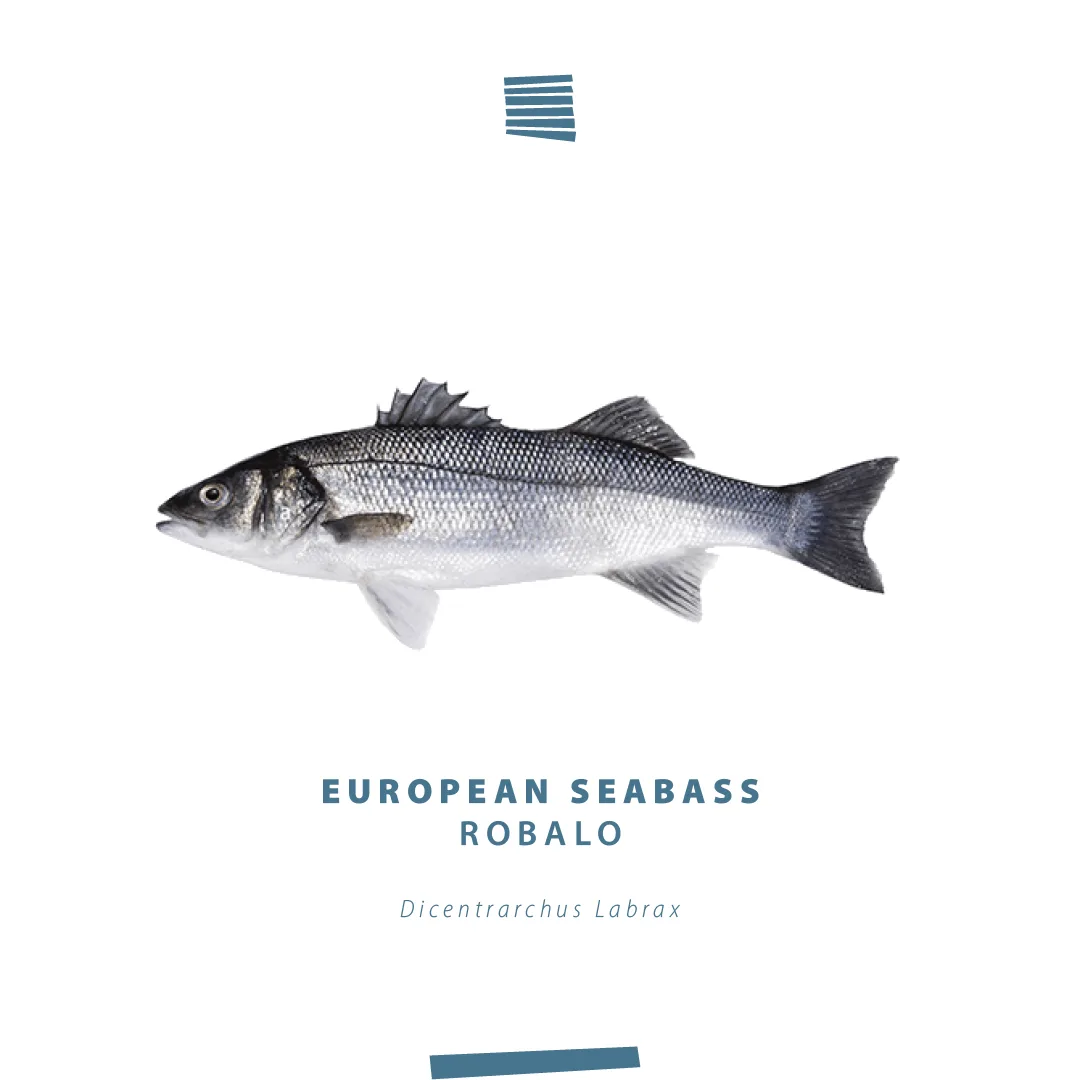 European seabass (Robalo, Dicentrarchus labrax) product card from NaturaFish