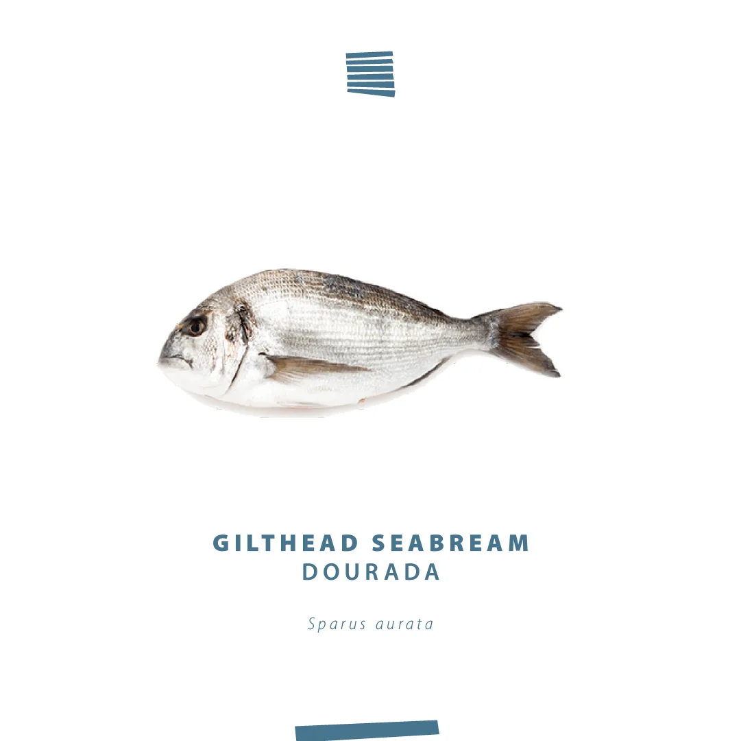 Gilthead seabream (Dourada, Sparus aurata) product card from NaturaFish