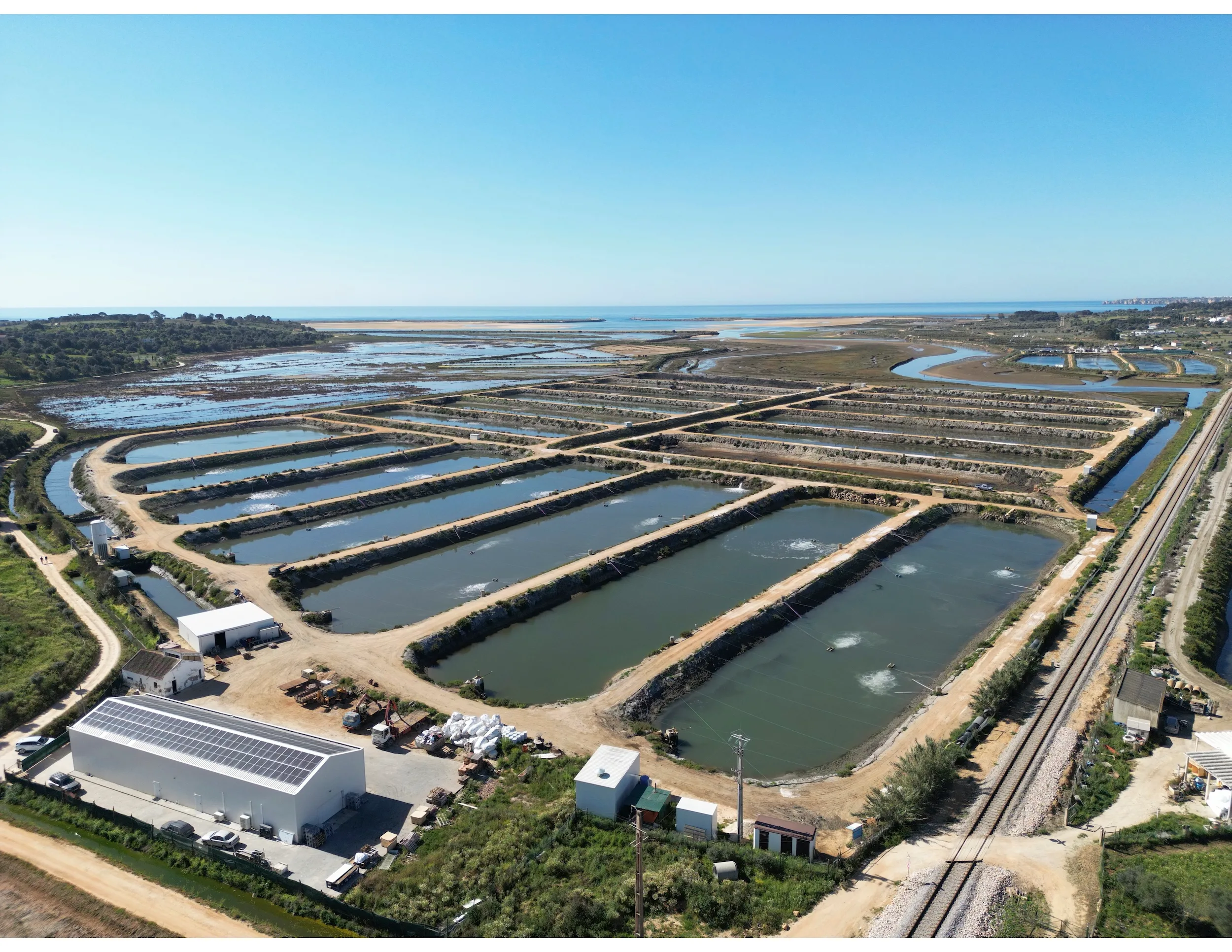 Aerial view of NaturaFish's Ria de Alvor estuary farm with rows of ponds and the Atlantic in the distance